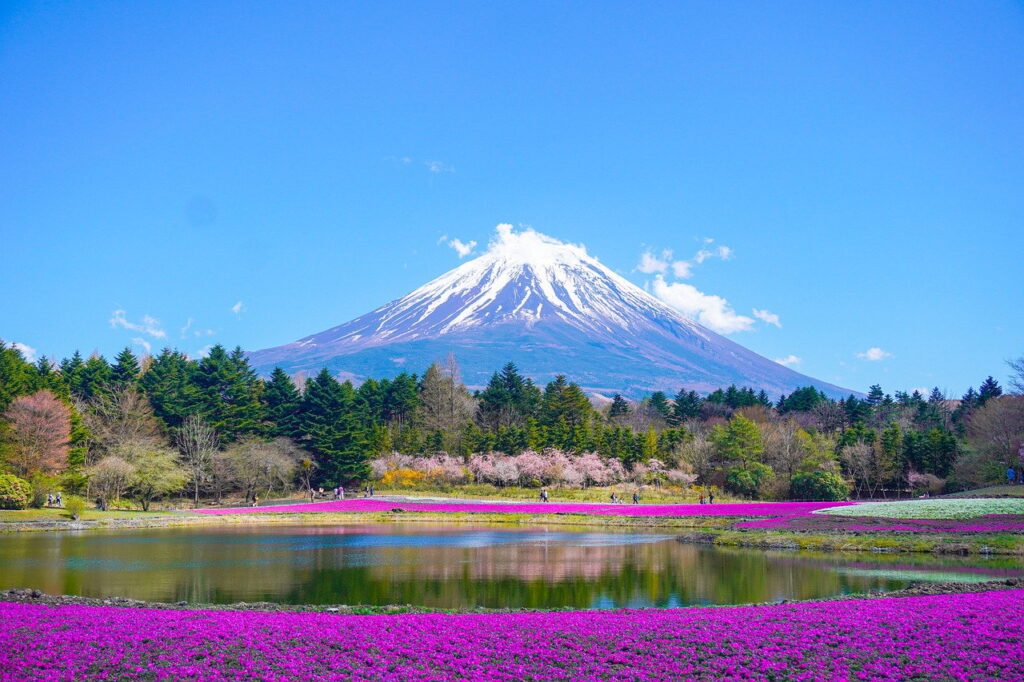 mount fuji, flower background, lake-8010752.jpg